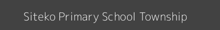 Siteko Primary School Township Image