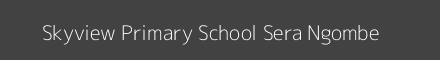 Skyview Primary School Sera Ngombe Image
