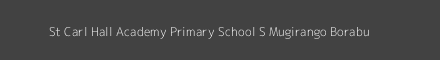 St Carl Hall Academy Primary School S Mugirango Borabu Image