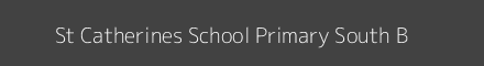 St Catherines School Primary South B Image