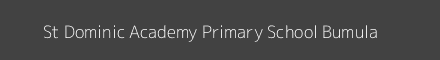 St Dominic Academy Primary School Bumula Image