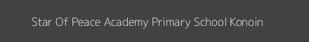 Star Of Peace Academy Primary School Konoin Image