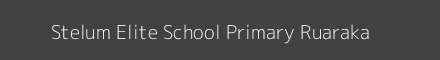 Stelum Elite School Primary Ruaraka Image