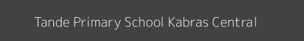 Tande Primary School Kabras Central Image