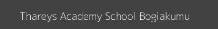 Thareys Academy School Bogiakumu Image