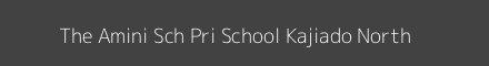 The Amini Sch Pri School Kajiado North Image