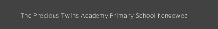 The Precious Twins Academy Primary School Kongowea Image