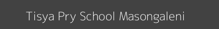 Tisya Pry School Masongaleni Image