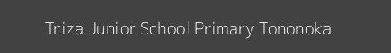 Triza Junior School Primary Tononoka Image