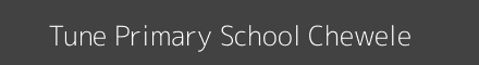 Tune Primary School Chewele Image