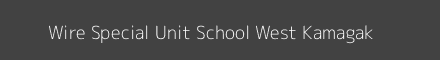 Wire Special Unit School West Kamagak Image