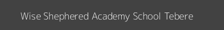 Wise Shephered Academy School Tebere Image